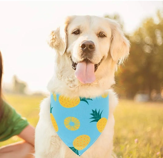 Cooling Dog Bandana